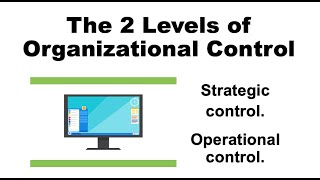 The 2 levels of organizational control