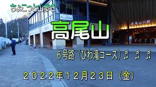 ちょこっと山歩き　高尾山　6号路（びわ滝コース）♬ ♬ ♬　2022年12月23日（金）