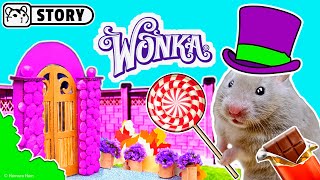 Hamster at Willy Wonka's Chocolate Factory 🍫 Homura Ham