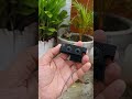 veri mini speaker shortvideo