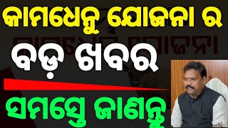 କାମଧେନୁ ଯୋଜନା ର ବଡ଼ ଖବର ସମସ୍ତେ ଜାଣନ୍ତୁ।।Dairy farm kamadhenu yojana।।#duetkamadhenuyojana