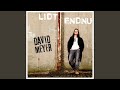 Lidt Endnu