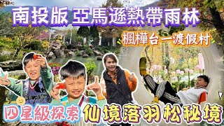 台一生態休閒農場|楓樺台一渡假村｜四星級的休閒生態渡假村|花仙子秘境落羽松｜南投版亞馬遜熱帶雨林