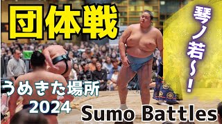 相撲 団体戦 Sumo Team Match 琴ノ若/琴勝峰/琴恵光/平戸海/佐田の海/妙義龍/錦木/豪ノ山【うめきた場所 2024】