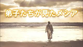 【90】マルコ9:14-29「不信仰な時代、メシアの御業」〜口も耳もきけない子のいやし〜(シリーズ90)