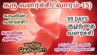 Baby Growth week -15||கரு வளர்ச்சி வாரம் -15||Baby Growth week by Week ||4 month Baby development