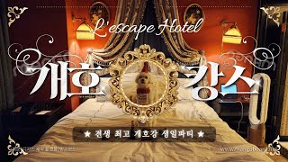 개호강 펫캉스🐶🏩레스케이프 호텔ㅣ애견동반 호텔ㅣL'escape Hotelㅣ팔레드신ㅣ라망시크레ㅣ만족오향족발ㅣ서울호캉스ㅣ남대문시장