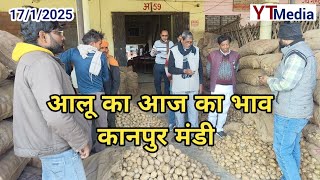 17/1/2025 आलू का आज का भाव कानपुर मंडी/ Potato mandi rate today in Kanpur Uttar Pradesh