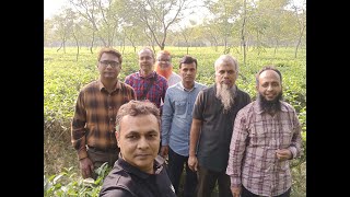 পঞ্চগড়, ঠাকুরগাঁও, সিংড়া ফরেস্ট, রামসাগর, দিনাজপুর ট্যুর। পর্ব ২