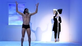 Sia Performs 'Bird Set Free'