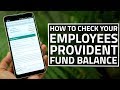 How to Check Your Employees' Provident Fund Balance