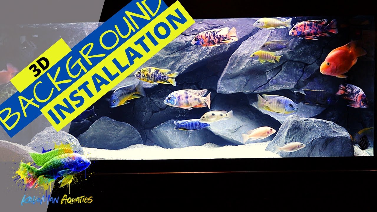 Aquadecor 3D Background FULL INSTALL - (Tank Breakdown And Reset) - YouTube