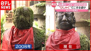 【異変】仏像の“コケ”はがされる「こんな顔をされているんですね」 大阪