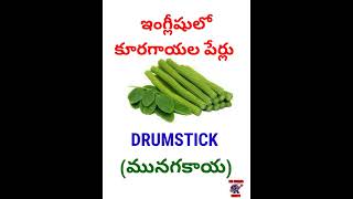 ఇంగ్లీషులో కూరగాయల పేర్లు/vegetables names in english