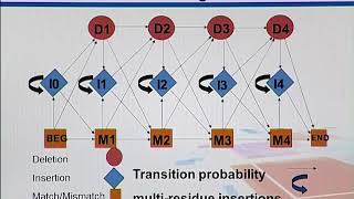 Topic162 MSA Profiling