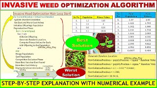 Learn Invasive Weed Optimization Algorithm Step-by-Step with Numerical Example ~xRay Pixy ๐ฟ๐ฑ๐๐