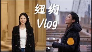 纽约VLOG 在纽约看流浪地球2 最美夜景观景点 大都会艺术博物馆真的太好拍了 布鲁克林大桥