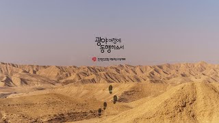 8월8일 | 꼴찌가 첫째가 되고 (눅15:1-7)