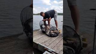 Fishing in Sweden with Swedish Fish.... Release 60 kg Fish.... #justfishing #extremefishing