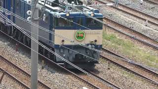 【フリー動画】EF64-1053牽引・12系の「上野駅・高崎線開業140周年記念号」の走行シーン