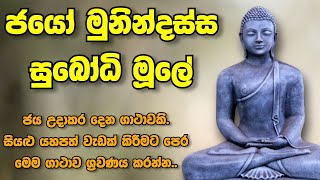 ජයෝ මුනින්දස්ස සුබෝධි මූලේ - jayo munindassa subodhi mule | Sadaham Thilina