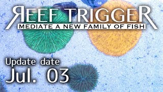 オーストラリア産クサビライシ各色、各サイズ[LPS0703-1/2/3]REEF-TRIGGER