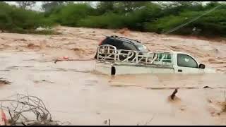 Roobabkii guga oo ka curtay Hargeisa