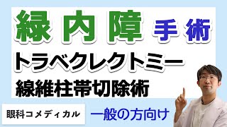 緑内障手術、トラベクレクトミー（線維柱帯切除術）の術後濾過胞感染・リークについてQandA一般の方向け