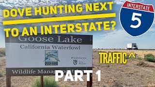 Dove Hunting NEXT TO AN INTERSTATE part 1. Opening Day with California Waterfowl. Ca public land.