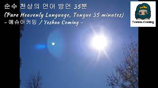 Dec 25 2024 순수 천상의 언어 방언 35분 Pure Heavenly Language, Tongue 35 Minutes