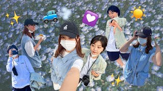 【見頃過ぎ💦🌼】初ネモフィラ行ったよvlog〜流行りには乗る❗️〜 (国営ひたち海浜公園)