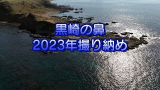 【いつものところ】黒崎の鼻撮り納め2023【今年最後】