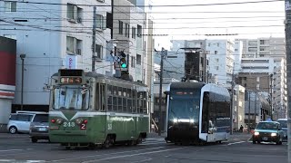 札幌市電 243号復刻塗装車 2023/11/19