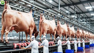 Inside World’s Largest Beef Processing Plant | How the World’s Largest Beef Plant Processes?