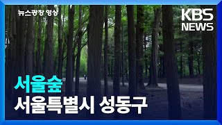 [뉴스광장 영상] 서울숲 / KBS  2023.05.17.