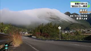 朝霧が山肌を流れる風伝おろし 世界遺産の熊野古道・風伝峠を越えてきた霧