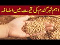 wheat support price rate today wheat rate increase punjab pakistn 2025