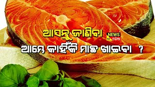 ମାଛ ଖାଇବା ସ୍ୱାସ୍ଥ୍ୟ ପାଇଁ ଖୁବ୍ ଉପକାରୀ ||news10odia