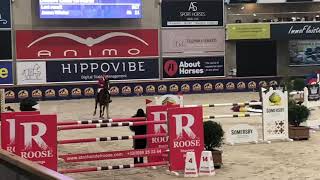 Vient Tu du Rouet 150 class CSI 3* Opglabbeek 2019