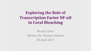 Exploring the Role of Transcription Factor NF-kB in Coral Bleaching