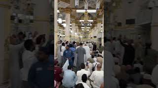 2k24 #hajj2024 #madina #madinah #pakistan #saudiarabia #shortvideo #shorts makkah live madina naat