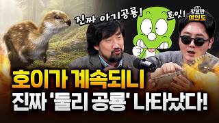 둘리는 진짜 아기공룡!! 한국서 나온 새 공룡 둘리사우르스