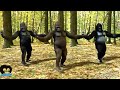 kutuma kutu new funny chimpanzee dance cover fan edited video