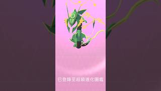 滿百超級烈空坐開圖太帥啦！I got Mega Rayquaza in #pokemongo #hundopokemon #megarayquaza