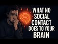 What happens to your brain without any social contact?