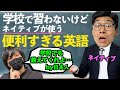 教科書に載ってないけどネイティブが超使う便利な英語