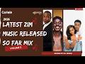 Zim Music Mix 2026: Latest Zimbabwean Songs 2026 (Non-Stop Hits ft Nyasha David, Holy Ten & More)