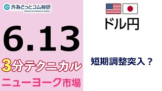 FX/為替予想  「ドル/円、短期調整突入？」見通しズバリ！3分テクニカル分析 ニューヨーク市場の見通し　2022年6月13日