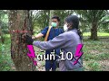 พ่อหมอเกษตร ep.162 ตอน วิธีรักษา