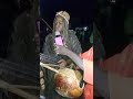 djigui diakite fils de filadougou sambou